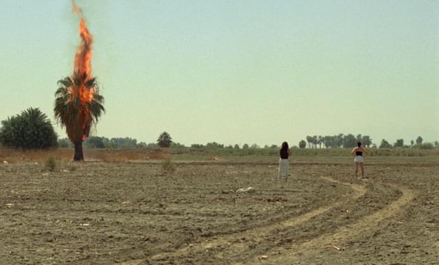 「クイーン・オブ・ダイヤモンド」