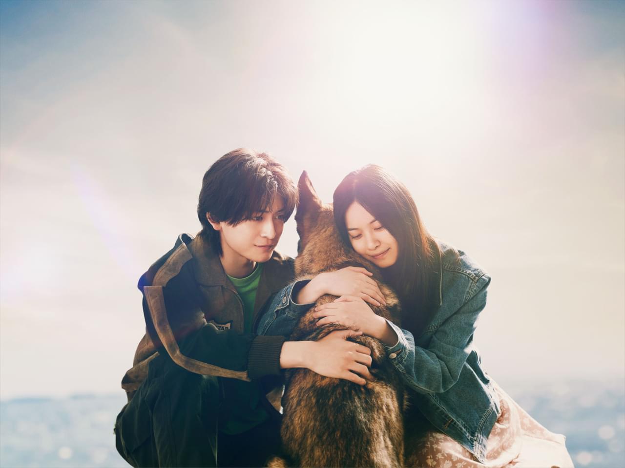 高橋文哉＆西野七瀬、直木賞「少年と犬」映画化に主演！ 監督は「ラーゲリより愛を込めて」瀬々敬久