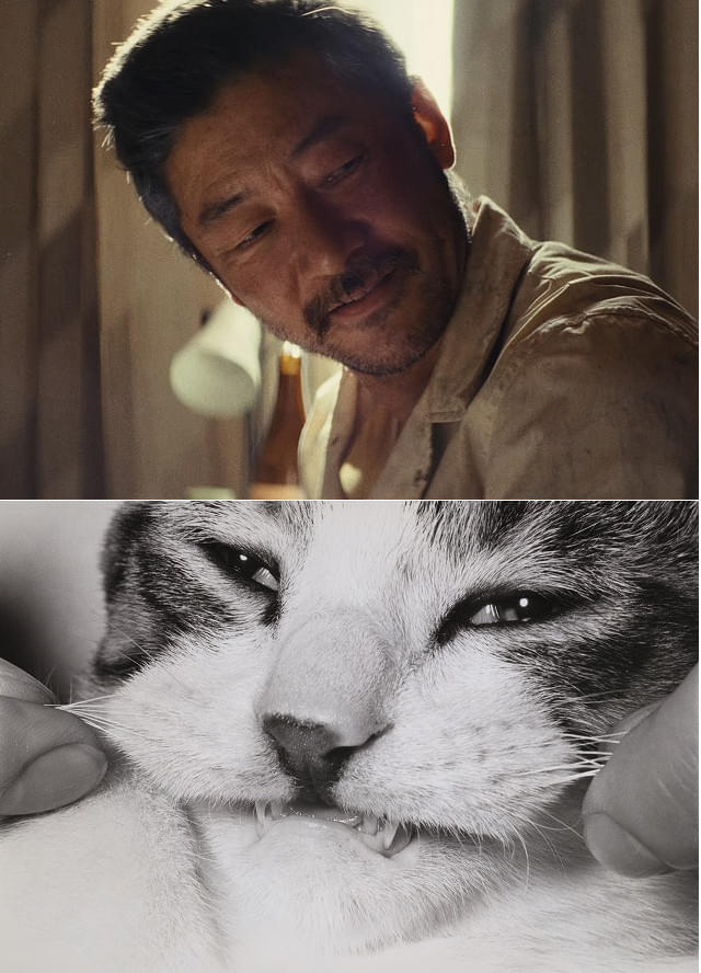 本編場面写真と深瀬昌久「無題」(シリーズ『サスケ』より)1977-78年