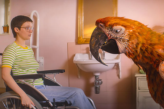 「終わりの鳥」