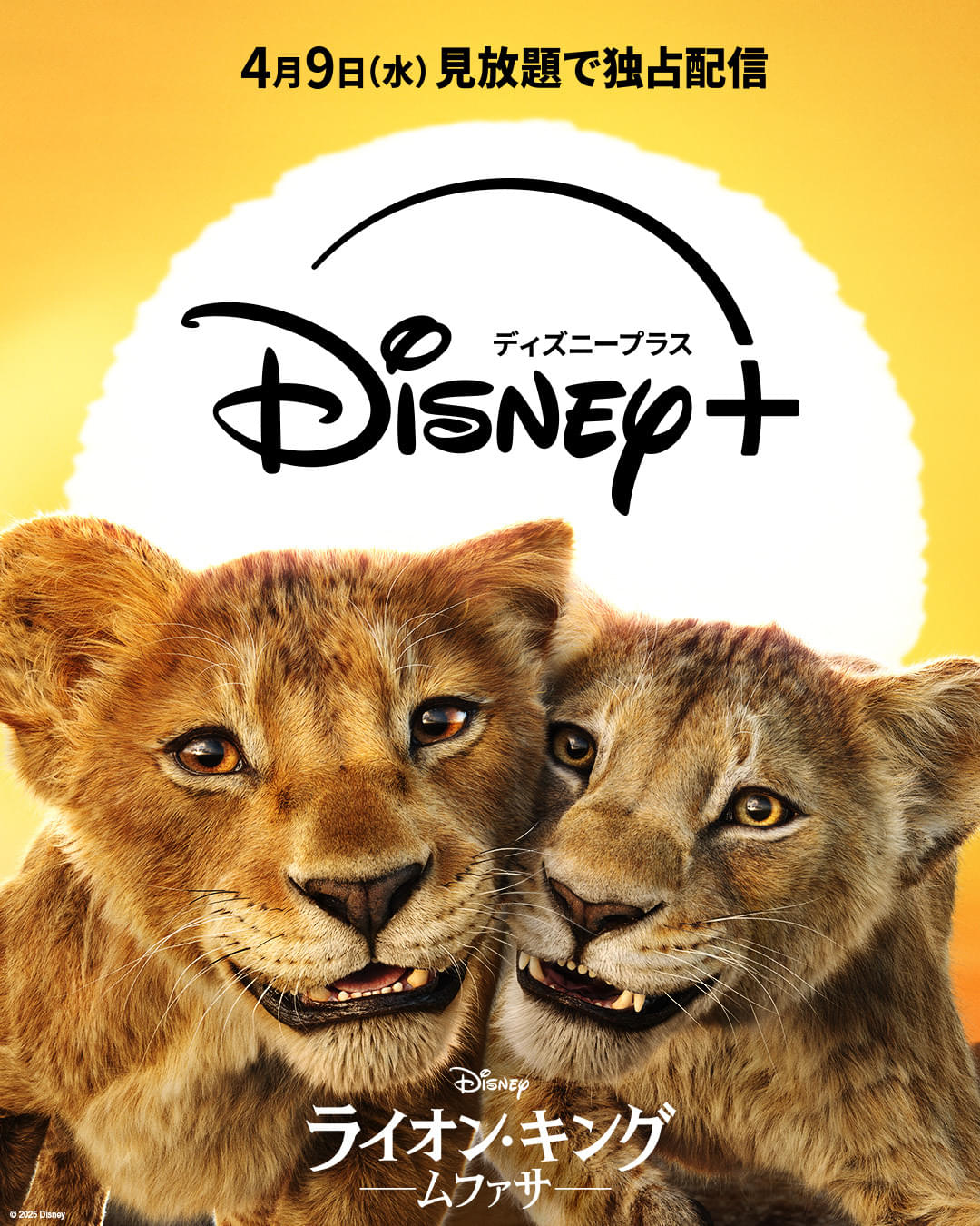 「ライオン・キング ムファサ」4月9日から配信！ 2024年洋画実写作品の興収1位を獲得した大ヒット作