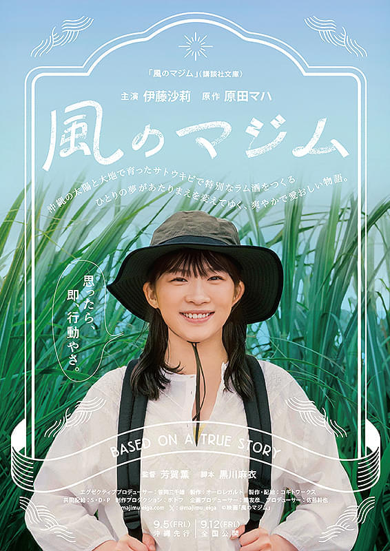 【映像初披露】伊藤沙莉主演「風のマジム」超特報2本が公開 沖縄でラム酒作りに奮闘