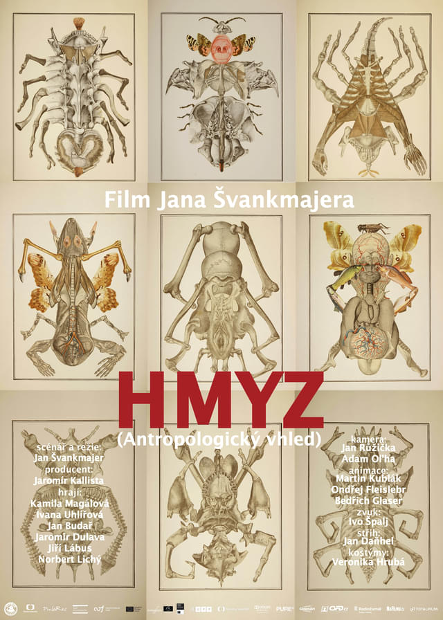 前売り特典のチェコ版ビジュアル