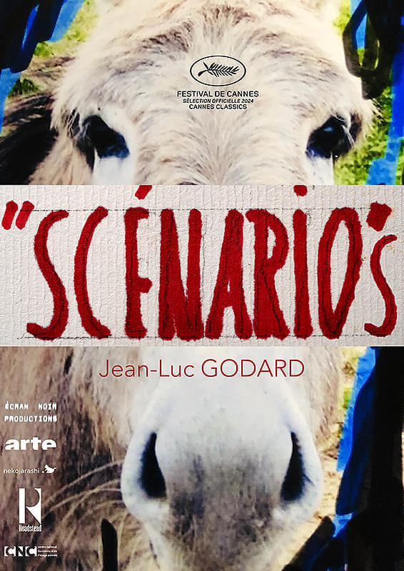 ポスタービジュアル