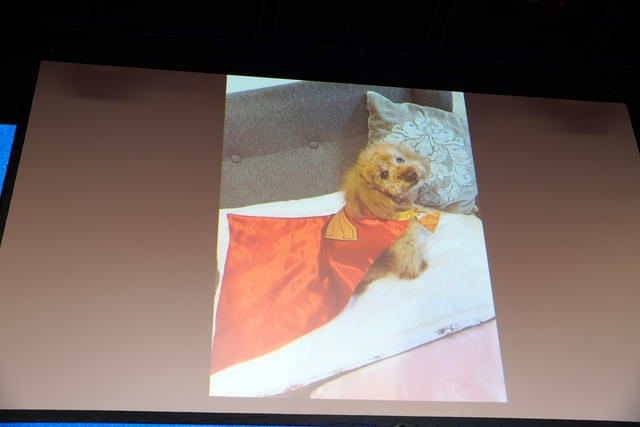 中島健人の愛犬、ボニータ