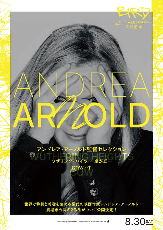 ポスタービジュアル