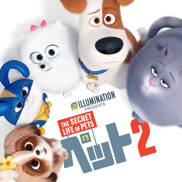 「ペット2」金曜ロードショーで9月5日放送 お馴染みのペットたち＆新キャラが大騒動を巻き起こす