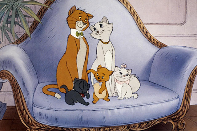 実写版「おしゃれキャット」が製作中止に