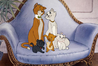 実写版「おしゃれキャット」が製作中止に