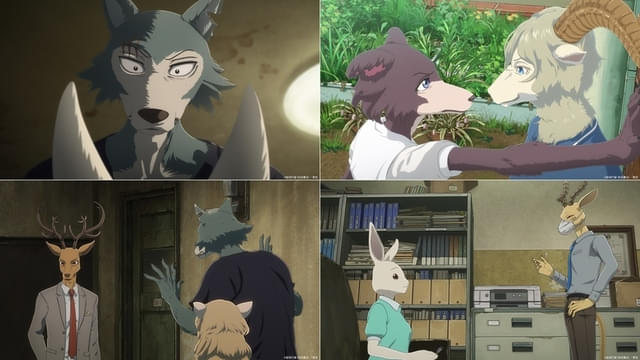 Netflixシリーズ「BEASTARS FINAL SEASON」Part1：独占配信中、Part2：2026年独占配信
