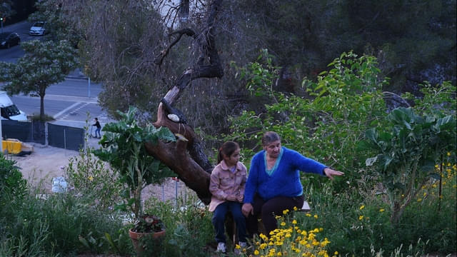 ホセ・ルイス・ゲリン最新作「善き谷の物語」