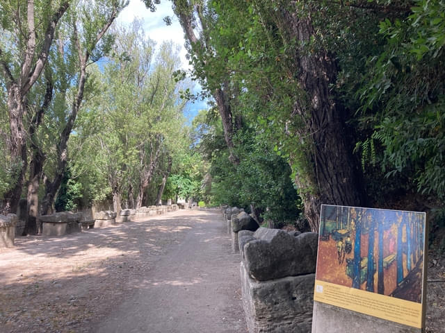 古代ローマ時代に作られた墓地アリスカン