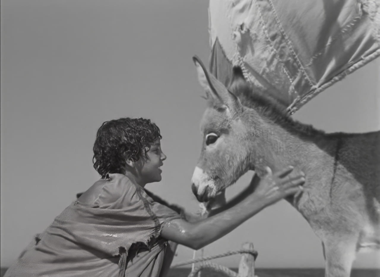 「赤い風船」「白い馬」4K版公開記念 アルベール・ラモリス特集開催！日本劇場初公開「小さなロバ、ビム」など3作