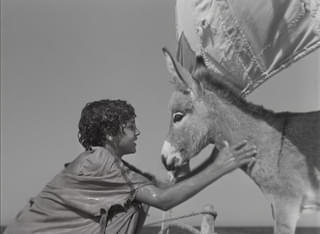 「赤い風船」「白い馬」4K版公開記念 アルベール・ラモリス特集開催！日本劇場初公開「小さなロバ、ビム」など3作