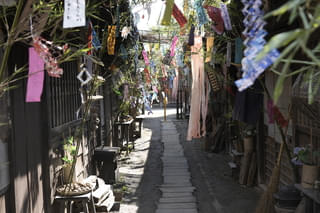 長澤まさみも驚いた“臭い立つリアリティ” 「おーい、応為」長屋セットに生臭い匂いが漂っていた