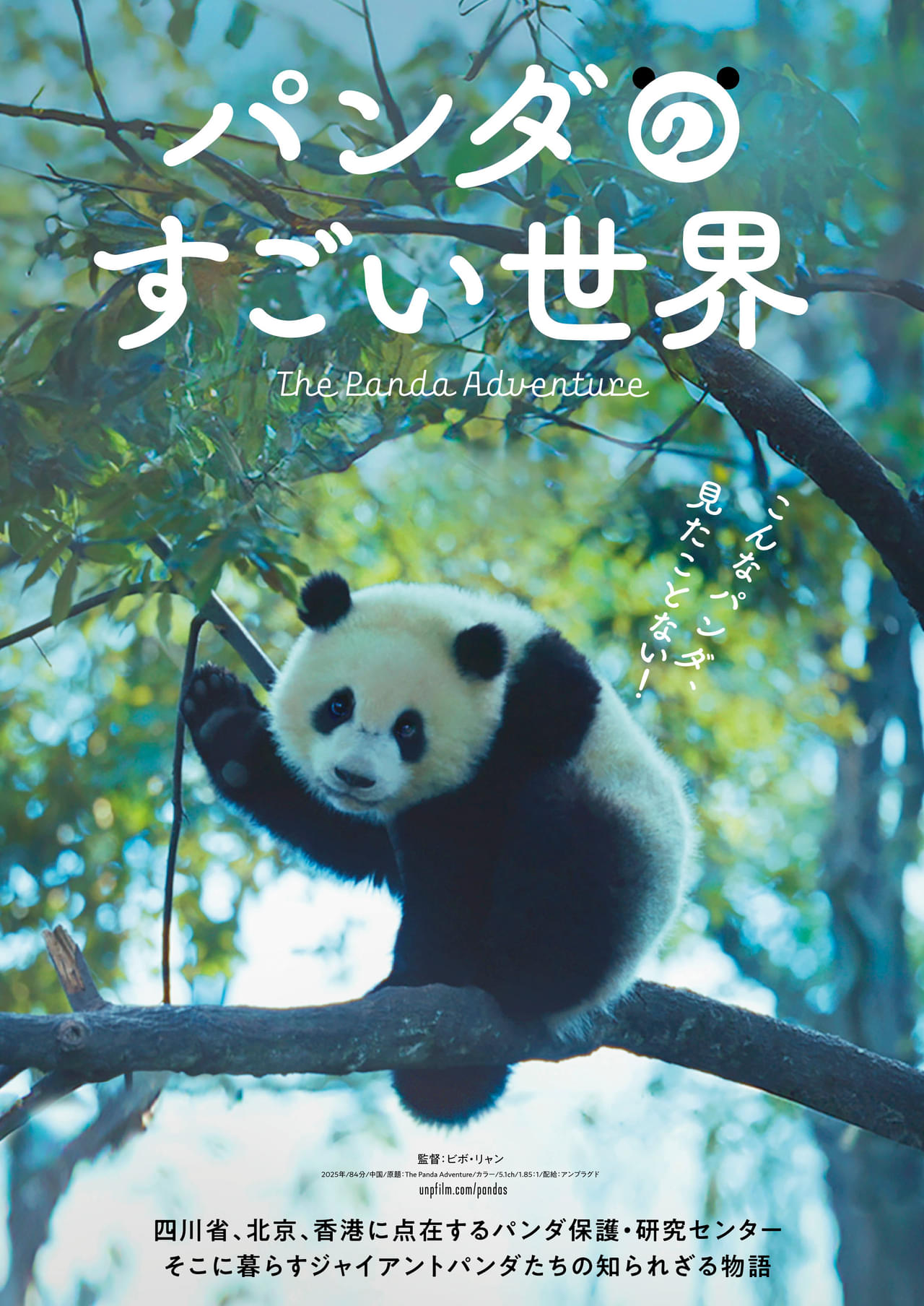 ジャイアントパンダの一生に迫る「パンダのすごい世界」公開【上野動物園のパンダは2月に中国へ返還】