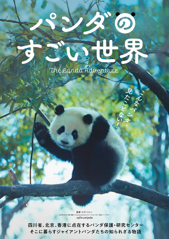 ティザービジュアル