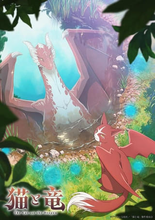 「猫と竜」26年7月放送開始 猫竜役に子安武人 アニメ映像初披露のティザーPVやティザービジュアルが公開