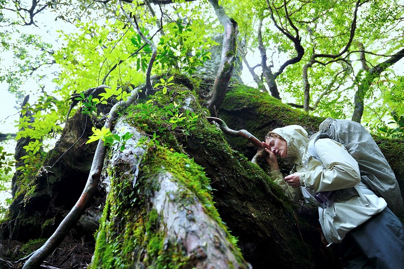 臓器提供を待つ子どもたち、命のともしびを照らす物語 河瀨直美最新作「たしかにあった幻」予告編＆場面写真