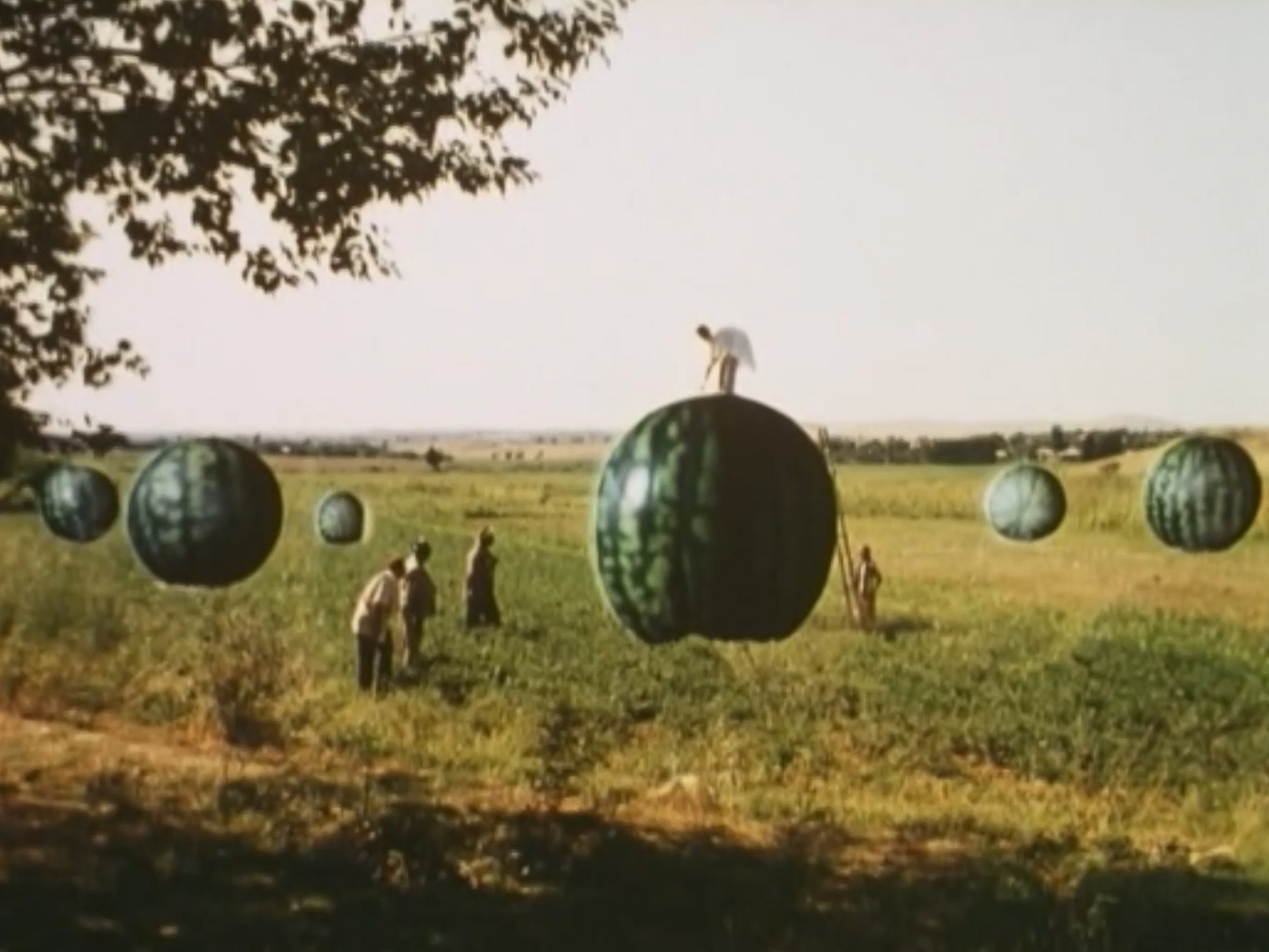 伝説的ローテクSF「UFO少年アブドラジャン」などウズベキスタン映画特集【中央アジア今昔映画祭】