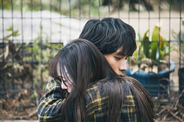 “愛しているから言えなかった”秘密とは―「楓」の福士蒼汰×福原遥撮りおろしナレーション入りファイナル予告公開