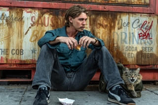 ネコの世話をするだけのはずだった男が、マフィアの標的に！ ダーレン・アロノフスキー最新作「コート・スティーリング」場面写真を初披露