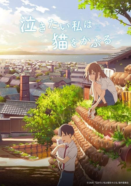 12月14日の「日曜アニメ劇場」で「泣きたい私は猫をかぶる」放送 スタジオコロリド制作の青春ファンタジー