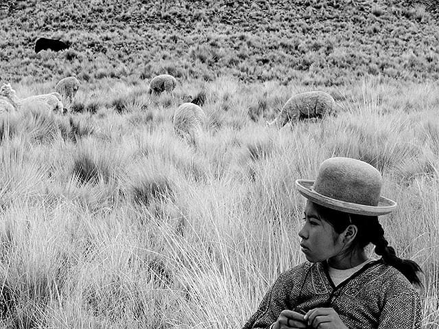 ペルーで農地改革が進んだ1980年代～1900年代が舞台