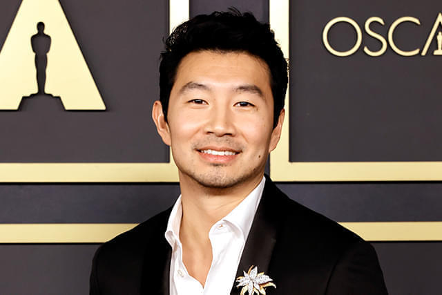 主演を務めるシム・リウ