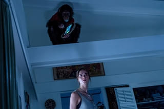 「おさるのベン」北米でスマッシュヒット！ 新場面写真＆上田麗奈と諏訪部順一参加のTVCM映像解公開