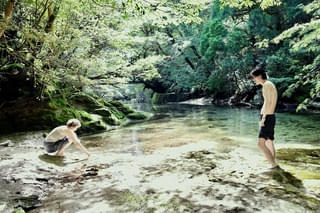 河瀨直美監督最新作「たしかにあった幻」永作博美、長谷川京子ら著名人のコメント入り特別予告を披露