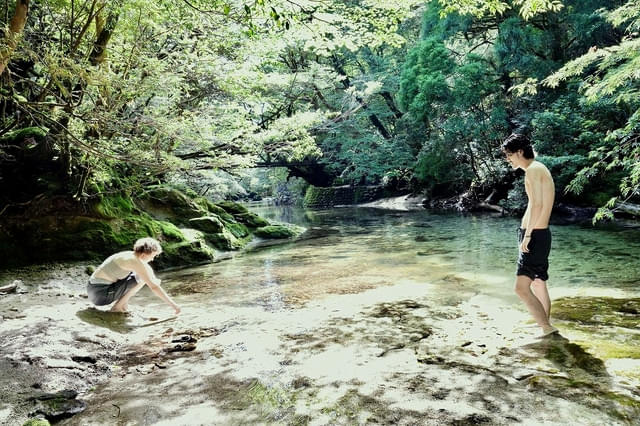 屋久島の大自然を捉えた新場面写真