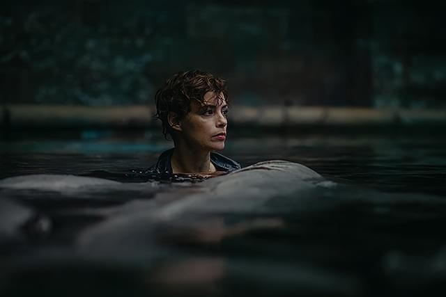 「ピラニア3D」「クロール 凶暴領域」のアジャ監督がメガホンをとる
