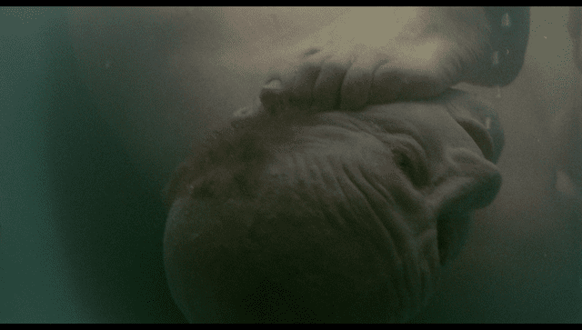 オーストラリア映画で特異な輝きを放つ一本