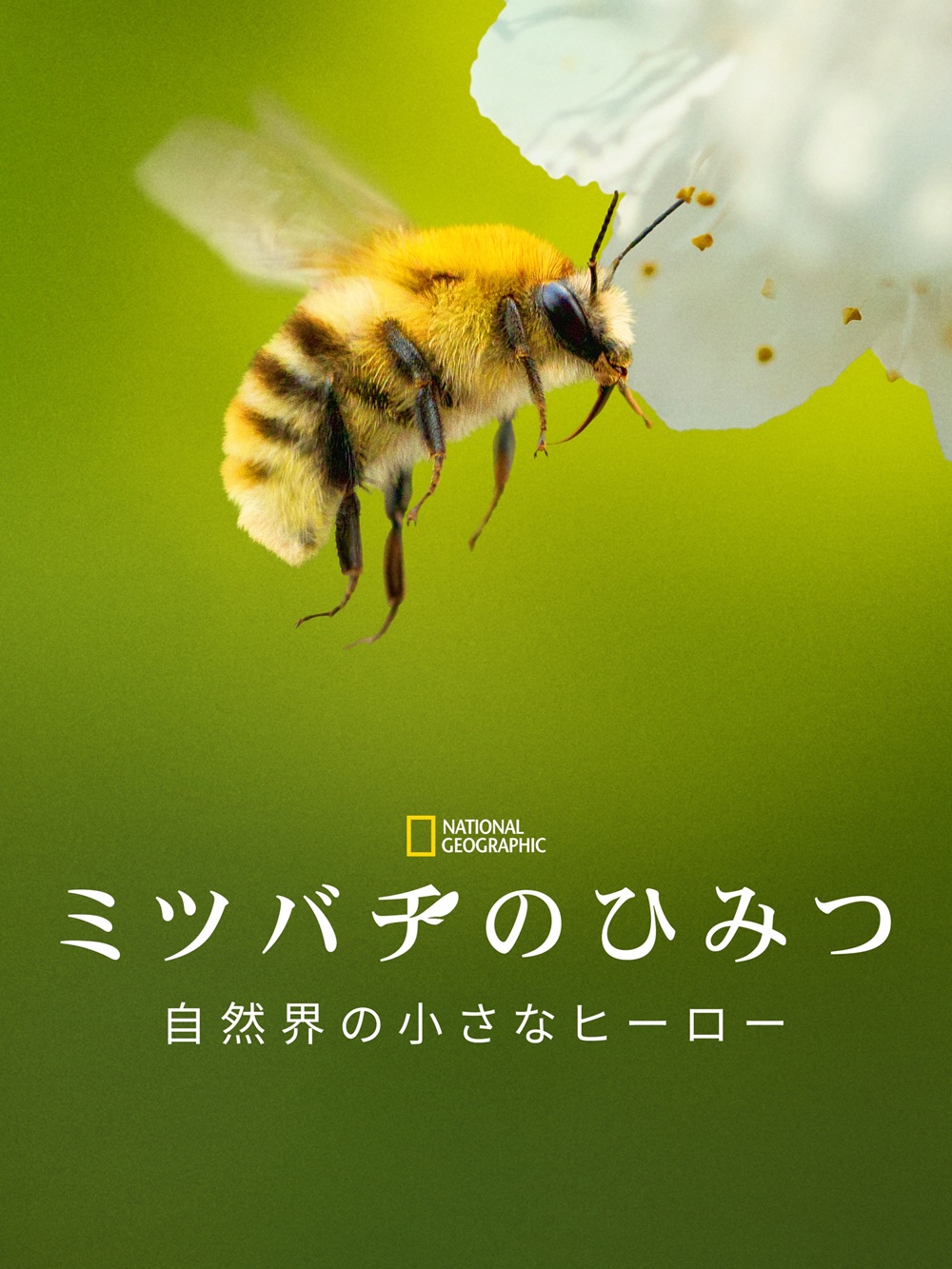 ジェームズ・キャメロン製作総指揮のネイチャードキュメンタリー