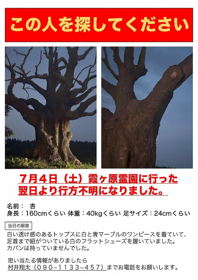 画像7
