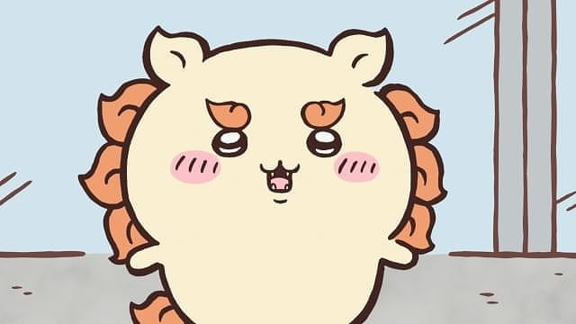 画像8