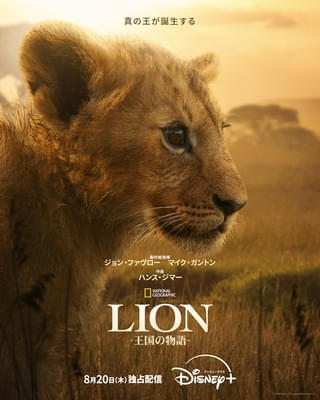 ナショジオの新作ドキュメンタリー2本がディズニープラスで独占配信！ ジョン・ファブロー手掛ける「LION 王国の物語」＆「9.11」追悼作