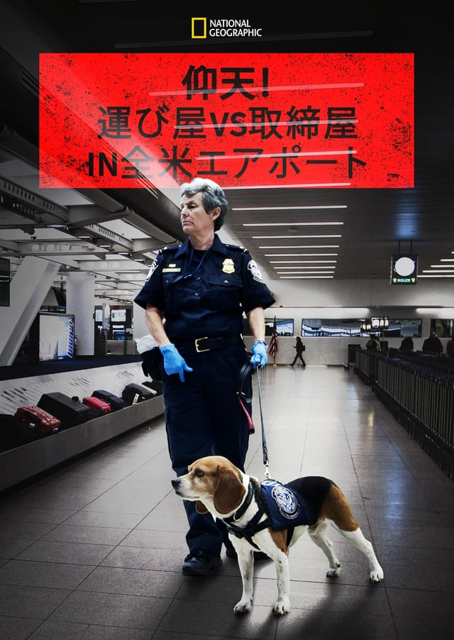 画像16