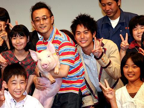 ブタに好かれたのか、嫌われたのか…？