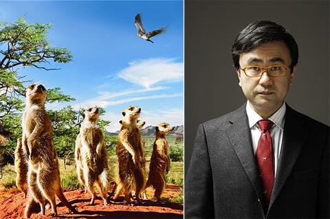 ポール・ニューマン遺作「ミーアキャット」で三谷幸喜が吹き替え