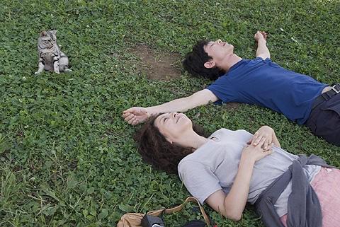 猫好きは必見（もちろんそうでない人も）