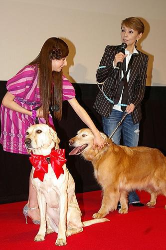 ベッキー、神田うのら愛犬家が大集合！「マーリー」試写会