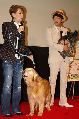 ベッキー、神田うのら愛犬家が大集合！「マーリー」試写会