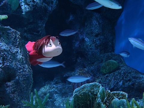 水槽の中のポニョ