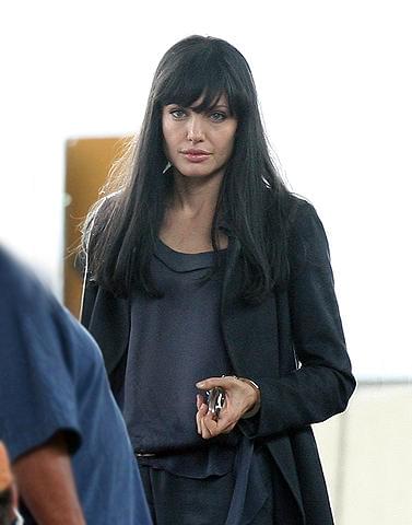 アンジェリーナ・ジョリー新作に「HACHI」ハルストレム監督が急浮上