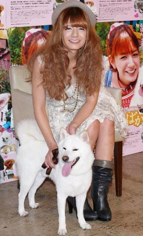 スザンヌ、映画初主演作「いぬばか」で「100点満点!」と自画自賛