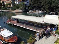 シャロン・ストーンを追ったパパラッチが大ケガ