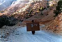 アジアの才能が集結！「TOKYO FILMeX 2000」開催決定