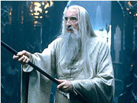 サルマンが、眼鏡をかければダンブルドアに